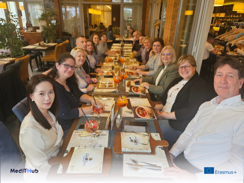 MedIT-HuB international project activities